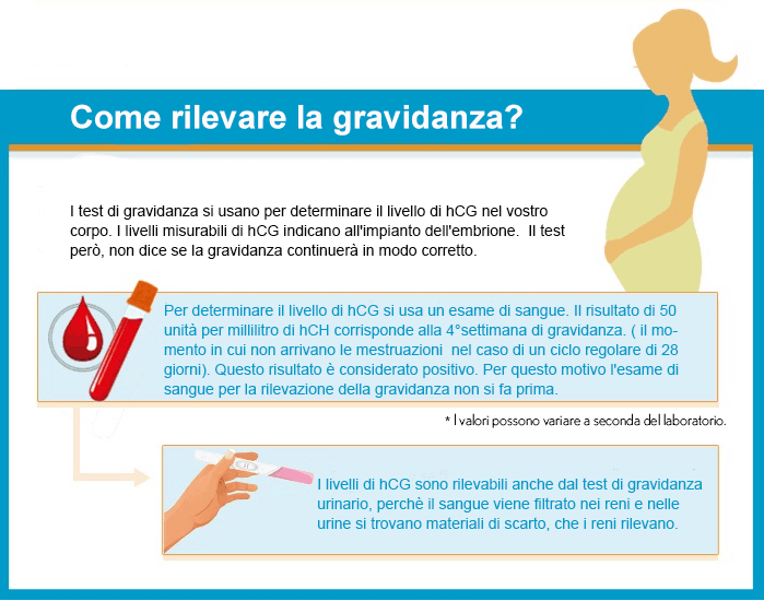 Le due settimane più lunghe