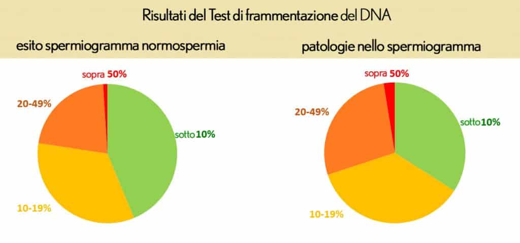 Test della frammentazione del DNA